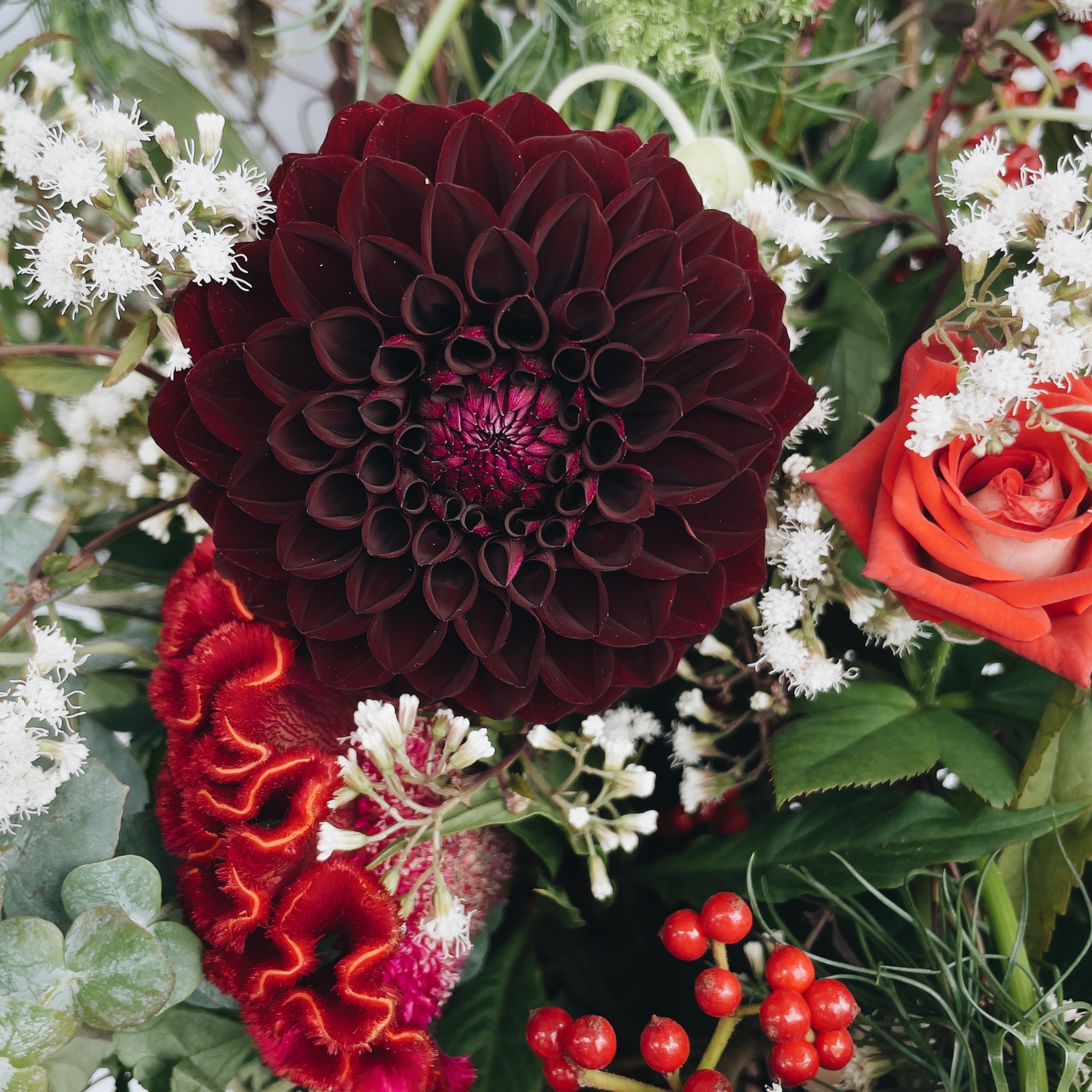 Flower Collection 2 ダリアのブーケ Flower かわいいが届くお花便