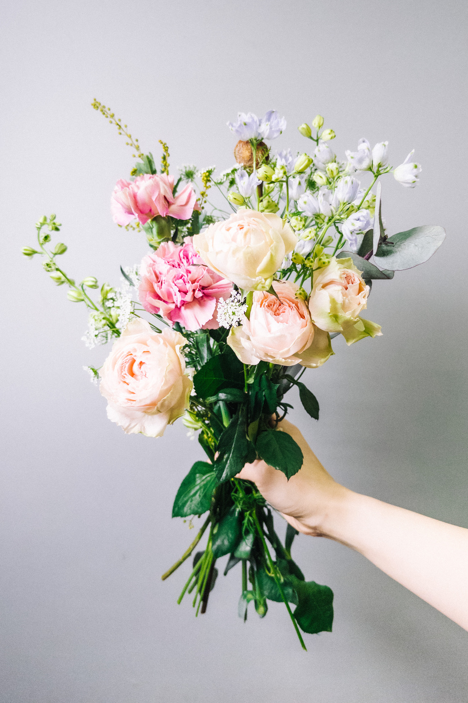 ベイビーカメレオン