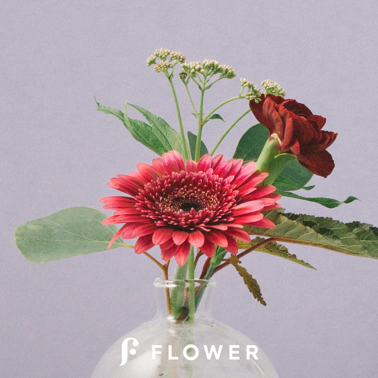 ガーベラ カーネーション ディアボロ ユーカリ フジバカマ Flower かわいいが届くお花便