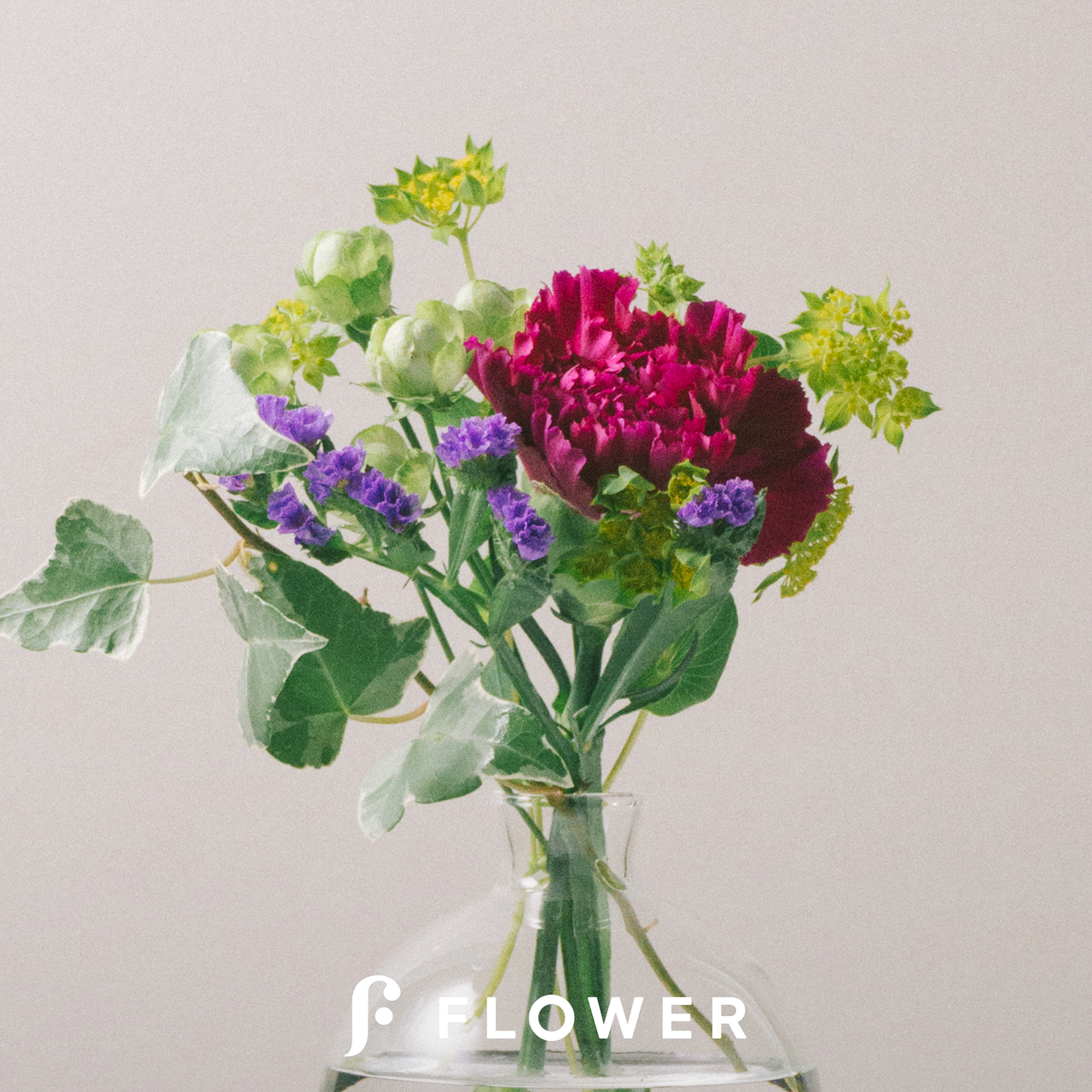 カーネーション / スプレーバラ / スターチス / ブプレリウム / FLOWER｜ロスレスブーケ販売中！かわいいが届くお花便